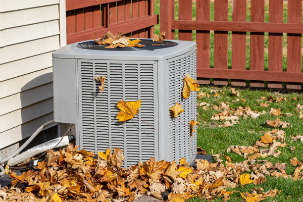 Best HVAC Emergency Services  in Faribault, MN