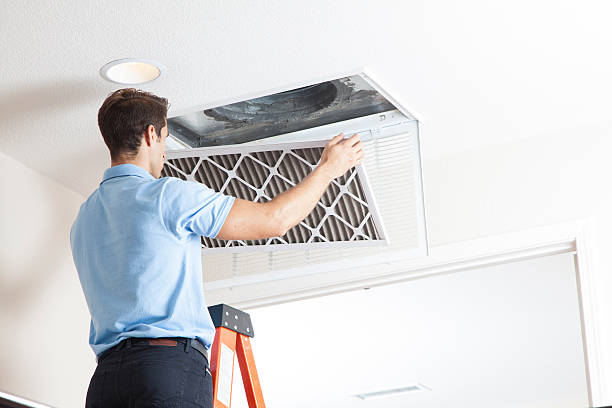 Best HVAC System Installation  in Faribault, MN